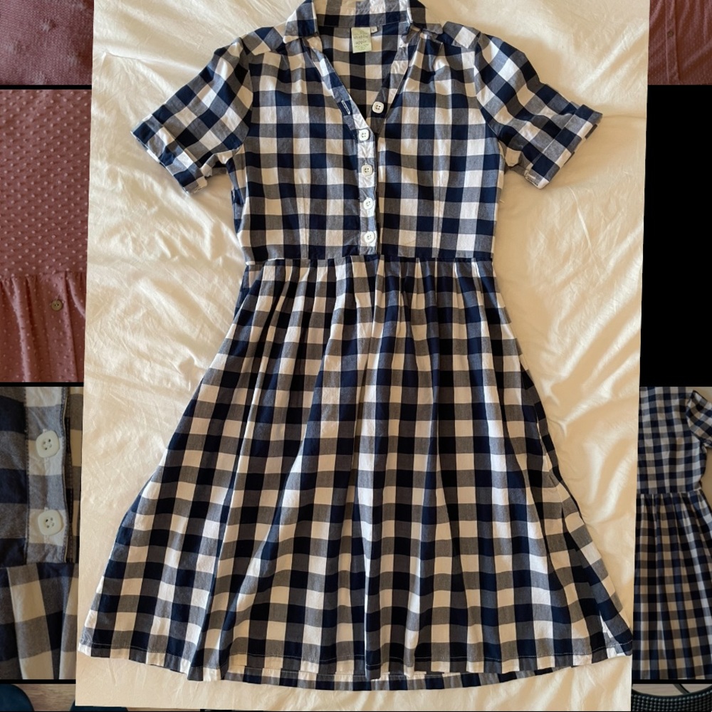 Shabby Apple Blue Gingham Dress